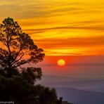 Lisa Augustine - Facebook