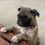 Lisa Ault - @mommalisalou - Instagram