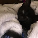 Lisa - @lisa_ault5 - Instagram
