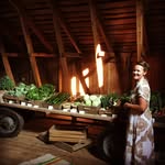 Lisa Bäckman - @svidjanseko - Instagram