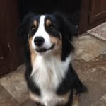 Lisa Badger - @sweetlilred80 - Instagram