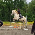 Lisa Bages - @lisabages - Instagram