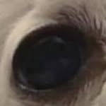 Lisa Baier - @lisabxr85 - Instagram