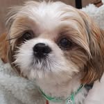 Lisa Baier - @lisabaier2019 - Instagram