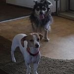 Lisa Bair - @lisabair.1 - Instagram
