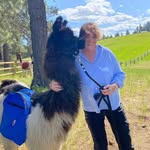 Lisa H. Balch - @lisahbalch - Instagram