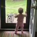 Lise Balch - Facebook