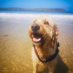 Lisa Morris Bale - @lisabale123 - Instagram