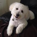Lisa Macdonald-Balmer - @macdonaldbalmer - Instagram