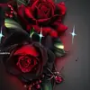 lisa - @elisabethbangert - TikTok