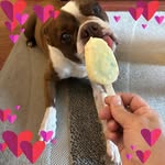Lisa Baranski - @lisa.baranski.5 - Instagram