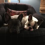 Lisa Barcellos - @barrettcondon - Instagram