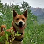 Lisa Baril - @barillisa - Instagram
