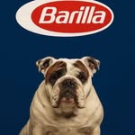 Lisa Maree Barilla - @lisabarilla - Instagram