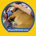 Lisa Barnhill - Facebook