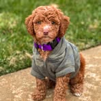 Lisa Barnhill - Facebook