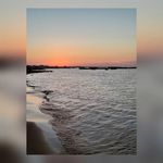 Lisa Barras - @barras226 - Instagram