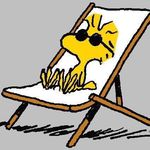 Lisa Barras - @woodstock8263 - Instagram