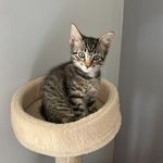 Lisa barratt - @barratt1940 - Instagram