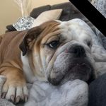 Lisa Barratt - @priest_lake_girl - Instagram