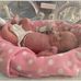 Lisa Barratt - Facebook