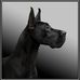 Lisa Barratt - Facebook