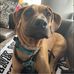 Lisa Barrette - Facebook