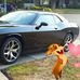 Lisa Barsness - Facebook
