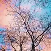Eliza bartholomew - @elizabart08 - TikTok