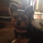 Lisa Bartholomew - @lmbartholomew13 - Instagram