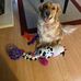 Lisa Bartholomew - Facebook