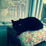 Lisa Bartholomew - @bartholomew4478 - Instagram