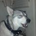 Lisa Bartow - Facebook
