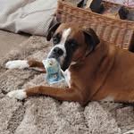 Lisa Bartram - @joebartram123backup - Instagram