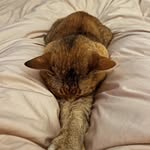 Lisa - @lisa_basel_tarboton - Instagram