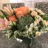 user9423425288969 - @lisabaskin27 - TikTok