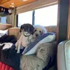 Lisa Bastek - @lisa.bastek - TikTok