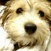Lisa Batz - Facebook