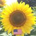 Lisa Batz VanHoute - Facebook