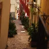 lisabaumgartner469 - @lisabaumgartner469 - TikTok