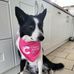 Lisa Beadle - Facebook