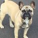 Lisa Beadle - Facebook