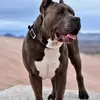 Lisa Beard - @lisa.beard8 - TikTok