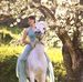 Lisa Beatrice - Facebook