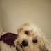 Lisa Beauchamp - Facebook