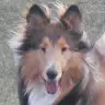 Lisa Beauchamp - @beau9246 - TikTok