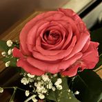 Lisa Bechard - Facebook