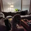 lisabechard931 - @lisabechard931 - TikTok