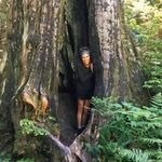 Lisa Walters Bechtold - @lmwbechtold - Instagram