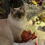 Lisa Beckner - @beckner848 - Instagram